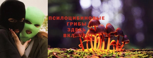 mix Алексеевка